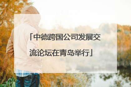 中德跨国公司发展交流论坛在青岛举行