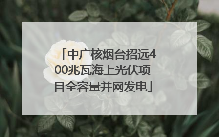 中广核烟台招远400兆瓦海上光伏项目全容量并网发电