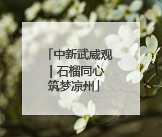 中新武威观｜石榴同心 筑梦凉州