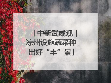 中新武威观｜凉州设施蔬菜种出好“丰”景