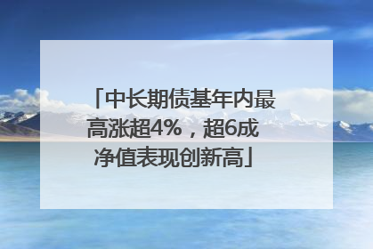 中长期债基年内最高涨超4%，超6成净值表现创新高