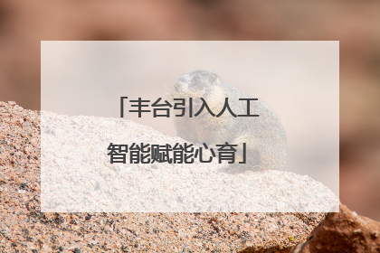 丰台引入人工智能赋能心育
