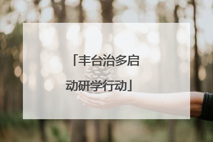 丰台治多启动研学行动