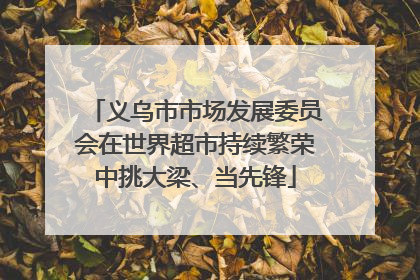 义乌市市场发展委员会在世界超市持续繁荣中挑大梁、当先锋