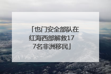 也门安全部队在红海西部解救177名非洲移民