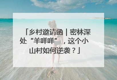 乡村邀请函｜密林深处“羊咩咩”，这个小山村如何逆袭？