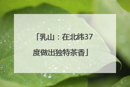 乳山：在北纬37度做出独特茶香