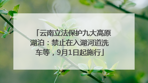 云南立法保护九大高原湖泊：禁止在入湖河道洗车等，9月1日起施行