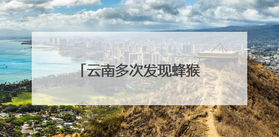 云南多次发现蜂猴、倭蜂猴实体 监测获阶段性成果