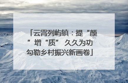云霄列屿镇：提“颜”增“质” 久久为功勾勒乡村振兴新画卷