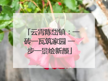云霄陈岱镇：一砖一瓦筑家园 一步一景绘新颜