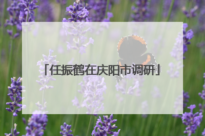 任振鹤在庆阳市调研