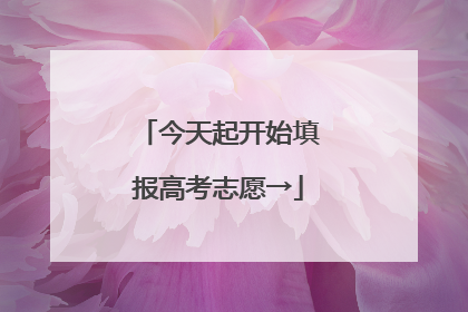 今天起开始填报高考志愿→