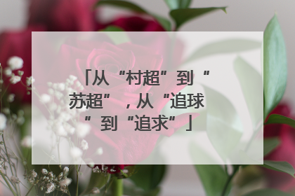 从“村超”到“苏超”，从“追球”到“追求”