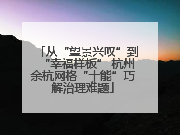 从“望景兴叹”到“幸福样板” 杭州余杭网格“十能”巧解治理难题
