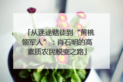 从迷途赌徒到“黄桃领军人”：肖石明的高素质农民蜕变之路