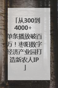 从300到4000+ 单条播放破百万！枣阳数字经济产业园打造新农人IP