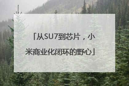 从SU7到芯片，小米商业化闭环的野心