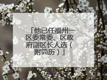 他已任福州一区委常委、区政府副区长人选（附简历）