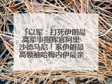 以军：打死伊朗最高军事指挥官阿里·沙德马尼！系伊朗最高领袖哈梅内伊最亲密的人之一
