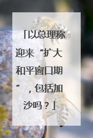 以总理称迎来“扩大和平窗口期”，包括加沙吗？