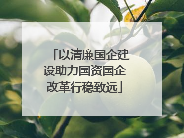 以清廉国企建设助力国资国企改革行稳致远