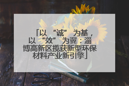 以 “诚” 为基，以 “效” 为翼：淄博高新区揽获新型环保材料产业新引擎