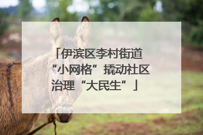 伊滨区李村街道 “小网格”撬动社区治理“大民生”