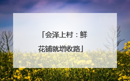会泽上村：鲜花铺就增收路