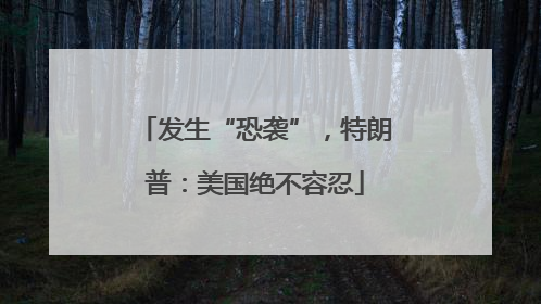 发生“恐袭”，特朗普：美国绝不容忍