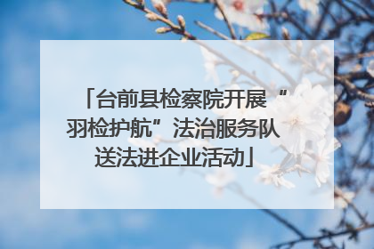 台前县检察院开展“羽检护航”法治服务队送法进企业活动