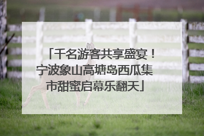 千名游客共享盛宴！宁波象山高塘岛西瓜集市甜蜜启幕乐翻天