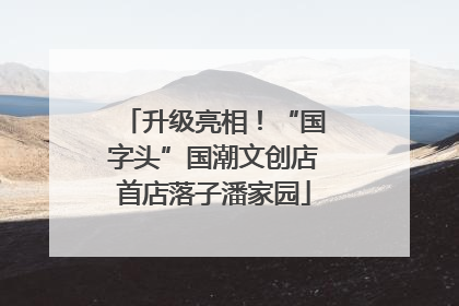 升级亮相！“国字头”国潮文创店首店落子潘家园