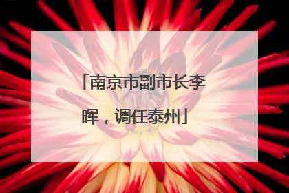 南京市副市长李晖，调任泰州