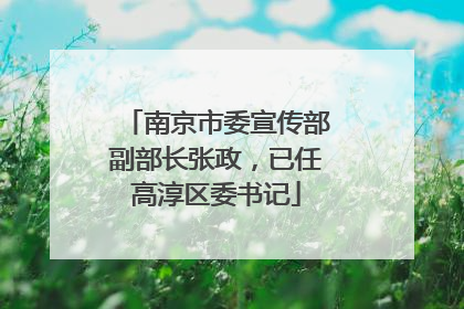 南京市委宣传部副部长张政，已任高淳区委书记