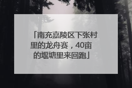 南充嘉陵区下张村里的龙舟赛，40亩的堰塘里来回跑