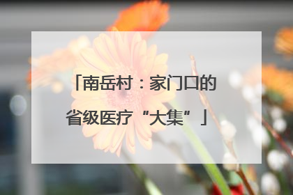 南岳村：家门口的省级医疗“大集”