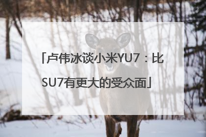 卢伟冰谈小米YU7：比SU7有更大的受众面