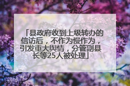 县政府收到上级转办的信访后，不作为慢作为，引发重大舆情，分管副县长等25人被处理