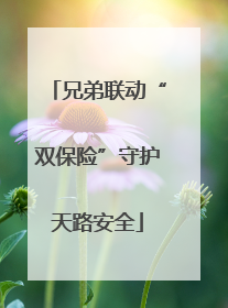 兄弟联动“双保险”守护天路安全