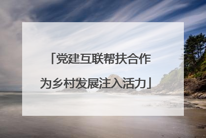 党建互联帮扶合作 为乡村发展注入活力