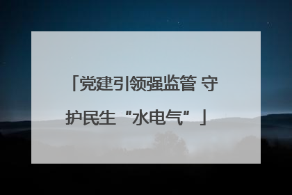 党建引领强监管 守护民生“水电气”