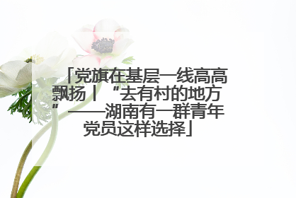 党旗在基层一线高高飘扬丨“去有村的地方”——湖南有一群青年党员这样选择