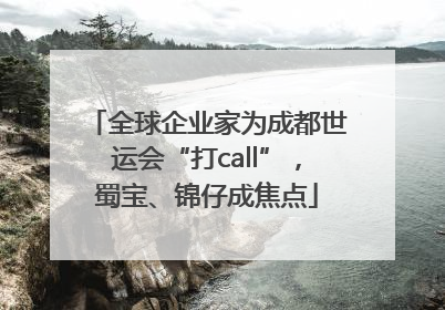 全球企业家为成都世运会“打call”，蜀宝、锦仔成焦点