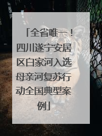 全省唯一！四川遂宁安居区白家河入选母亲河复苏行动全国典型案例