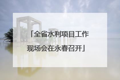 全省水利项目工作现场会在永春召开