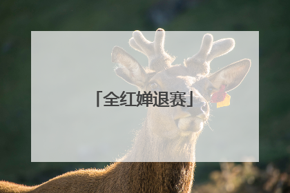 全红婵退赛