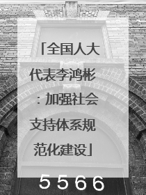 全国人大代表李鸿彬：加强社会支持体系规范化建设