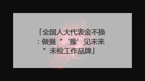 全国人大代表金不换：做强“‘豫’见未来”未检工作品牌
