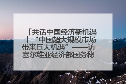 共话中国经济新机遇丨“中国超大规模市场带来巨大机遇”——访塞尔维亚经济部国务秘书尼科利奇